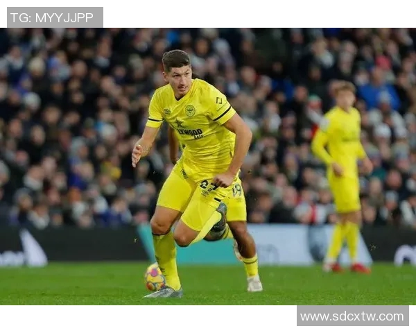 布伦特福德对阵利兹联精彩直播全程回顾与赛后分析