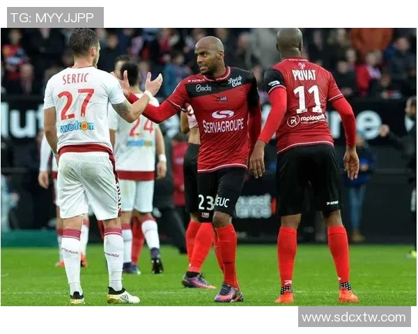 格勒诺布与奥尔良对决前瞻分析及比赛结果预测