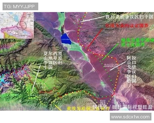 赖斯的外交智慧与全球局势的深刻影响探讨
