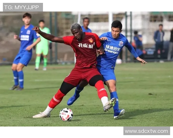 申花与华夏幸福精彩对决视频回顾赛场瞬间不容错过