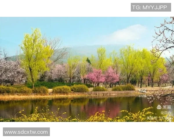 天霁时分万物复苏春光明媚大地回暖迎接新的希望与生机