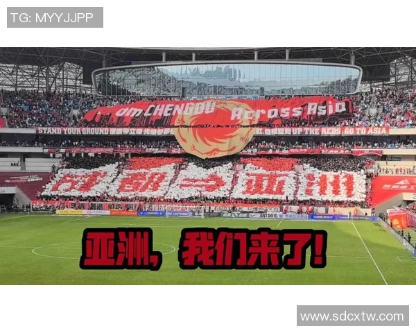 激战在即中超豪门申花迎战日本劲旅鹿岛鹿角争夺亚洲赛场荣耀